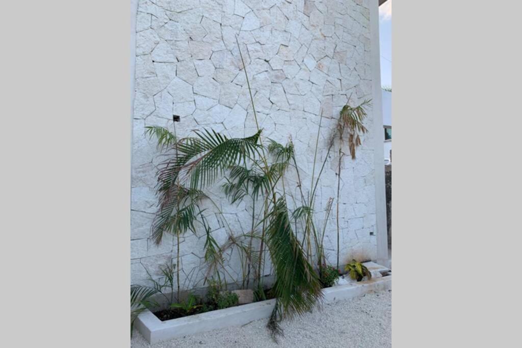 Apartment Baona Bacalar